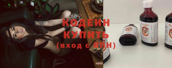 прущие грибы Бугульма