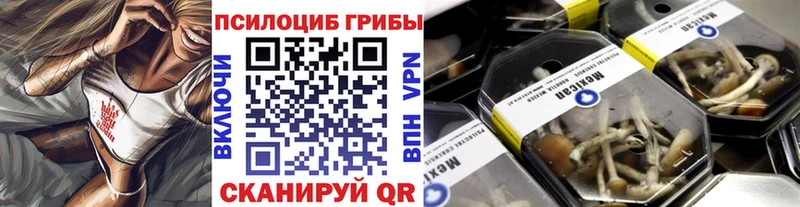 мега как зайти  Гаврилов-Ям  Галлюциногенные грибы GOLDEN TEACHER  наркотики 